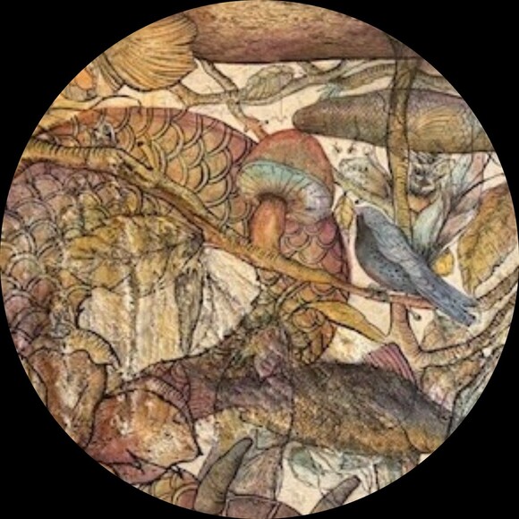 dena_gigliotti